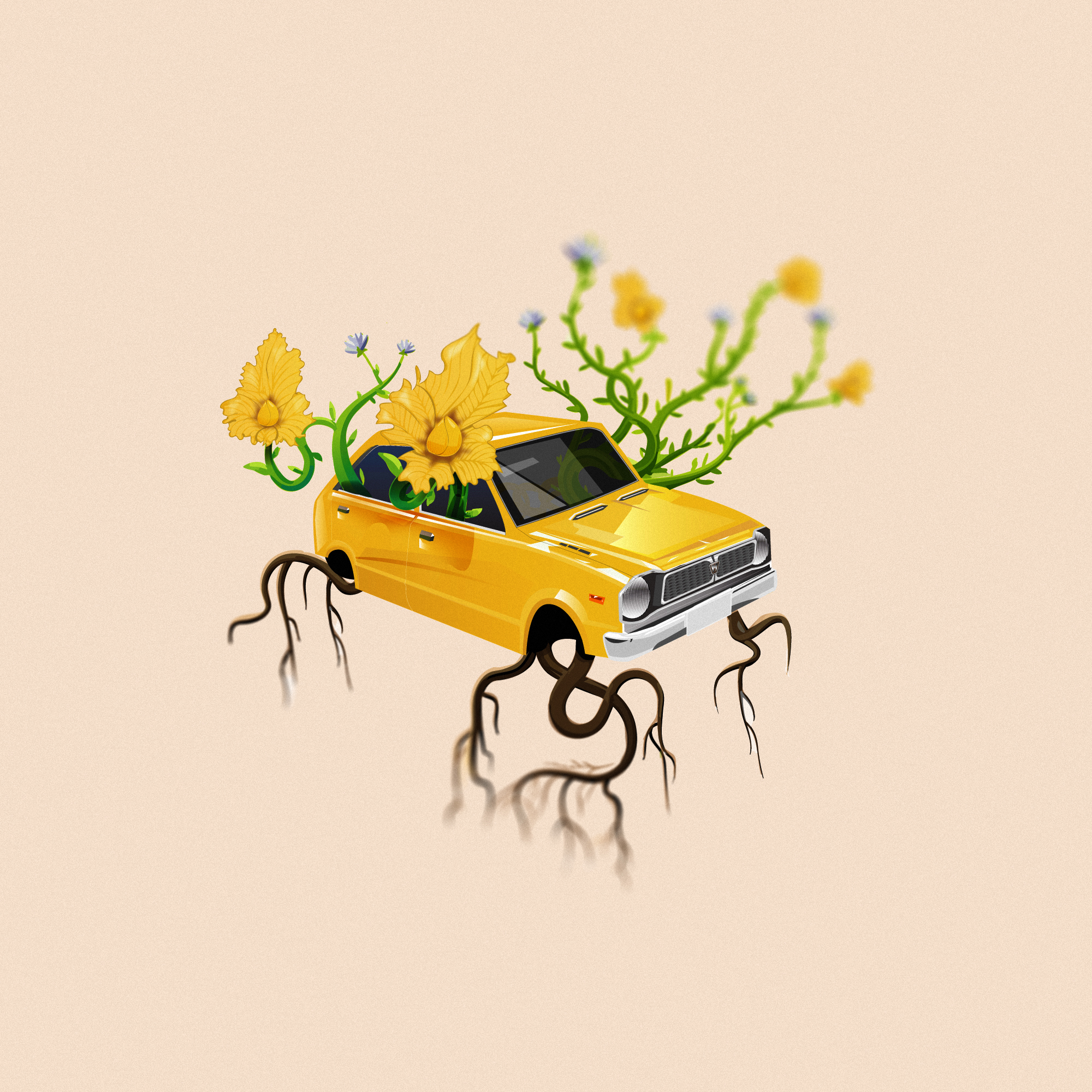 images/car-illustration1.jpg
